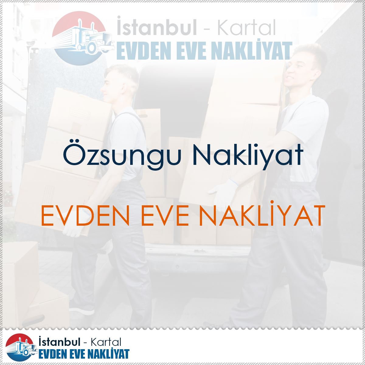 Özsungu Nakliyat : Kapak Görseli